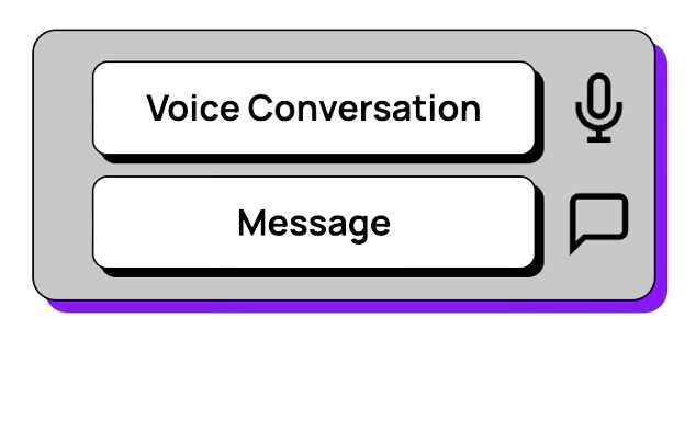 Voicero Chat